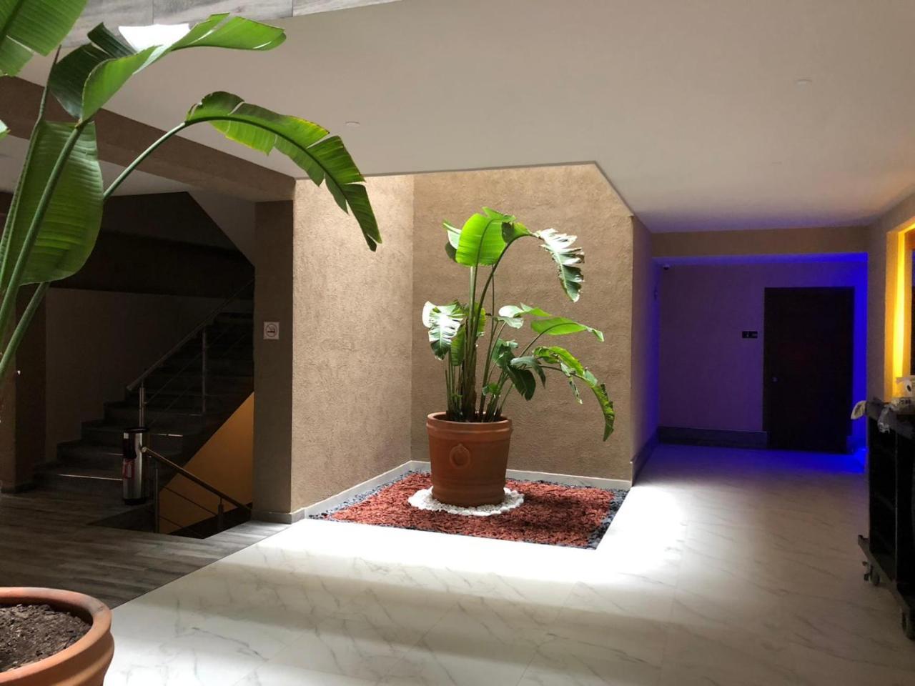 Hotel Plaza Arteaga 몬테레이 외부 사진